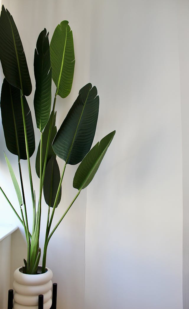 Brener Construction, Inc. @ Apartment Renovation NYC, USA
